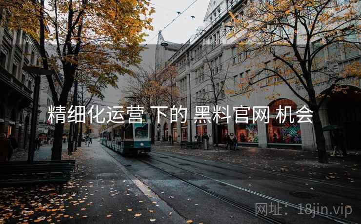 精细化运营 下的 黑料官网 机会