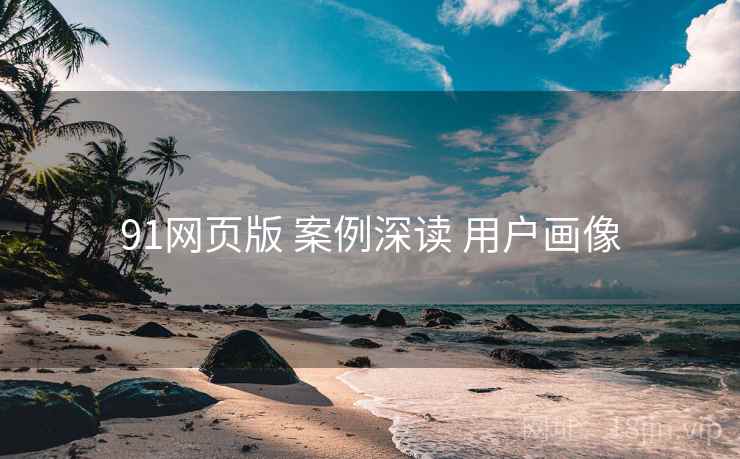 91网页版 案例深读 用户画像