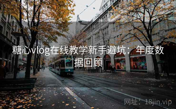 糖心vlog在线教学新手避坑：年度数据回顾