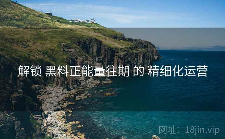 解锁 黑料正能量往期 的 精细化运营