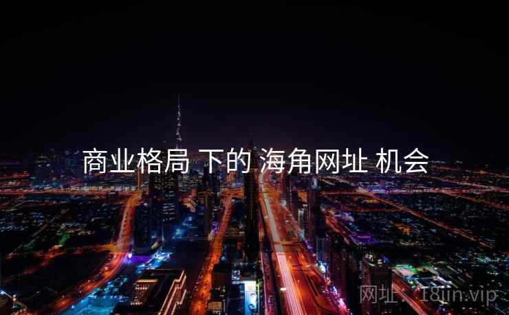 商业格局 下的 海角网址 机会