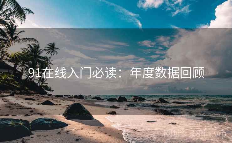 91在线入门必读：年度数据回顾