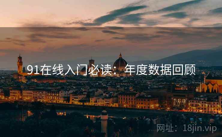 91在线入门必读：年度数据回顾