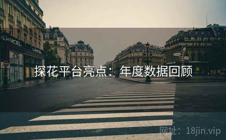 探花平台亮点：年度数据回顾