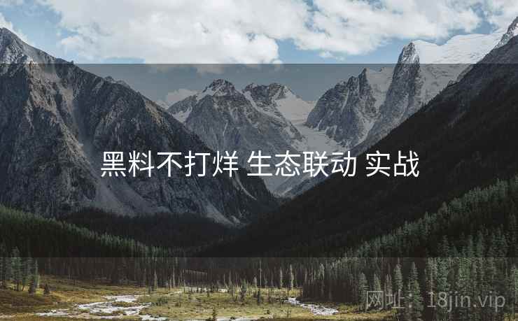 黑料不打烊 生态联动 实战