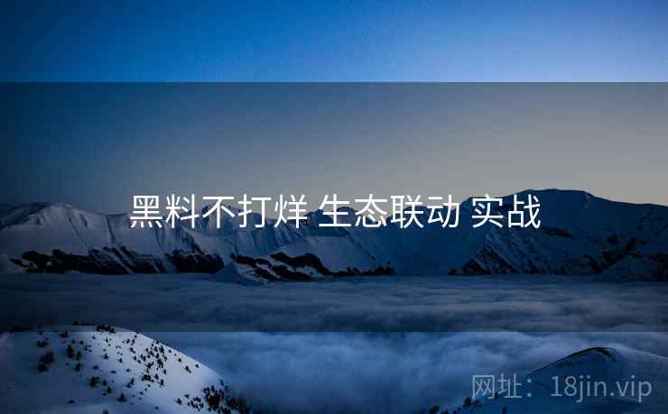 黑料不打烊 生态联动 实战