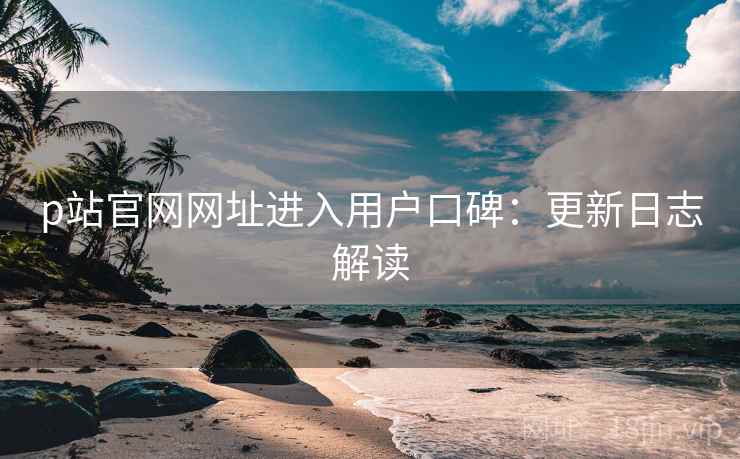 p站官网网址进入用户口碑：更新日志解读
