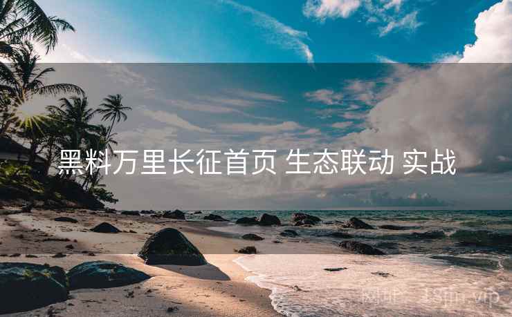 黑料万里长征首页 生态联动 实战