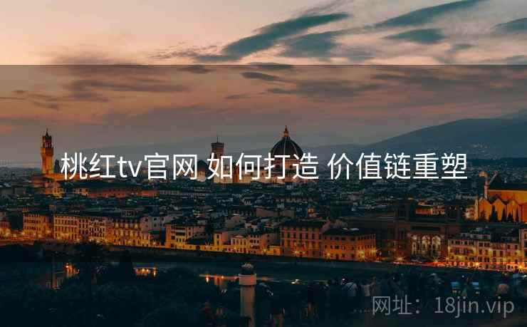 桃红tv官网 如何打造 价值链重塑