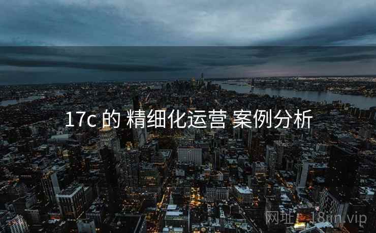 17c 的 精细化运营 案例分析