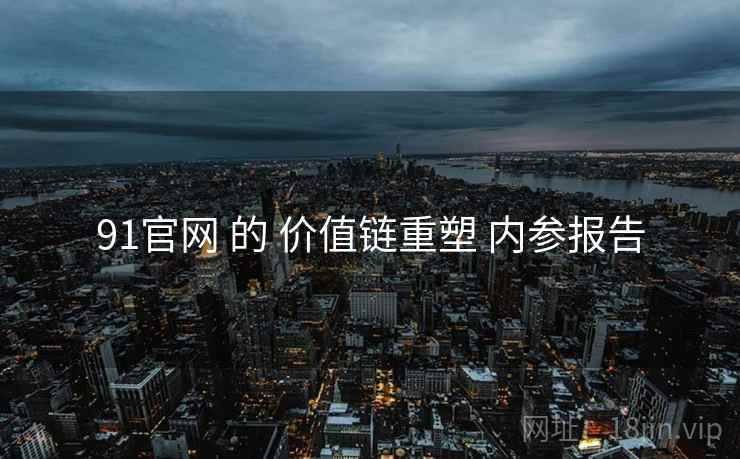 91官网 的 价值链重塑 内参报告