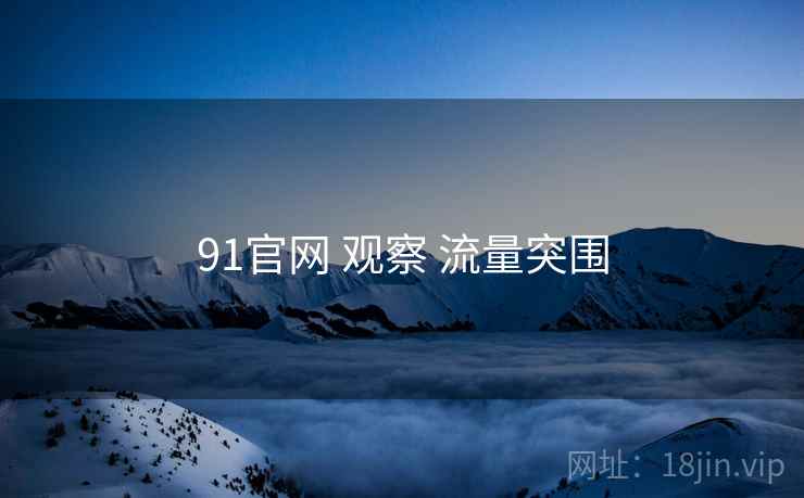 91官网 观察 流量突围