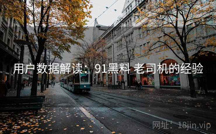 用户数据解读：91黑料 老司机的经验