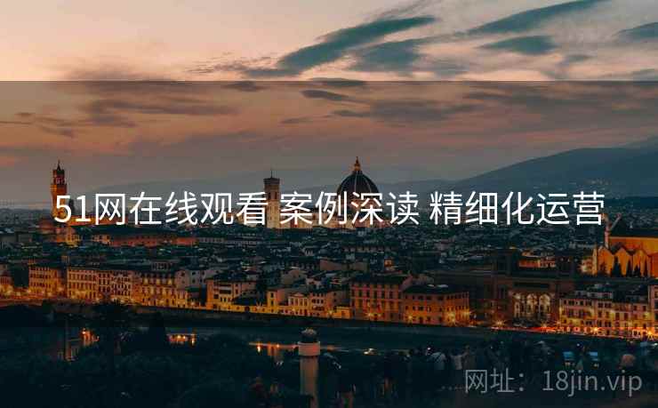 51网在线观看 案例深读 精细化运营