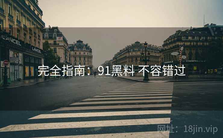 完全指南：91黑料 不容错过