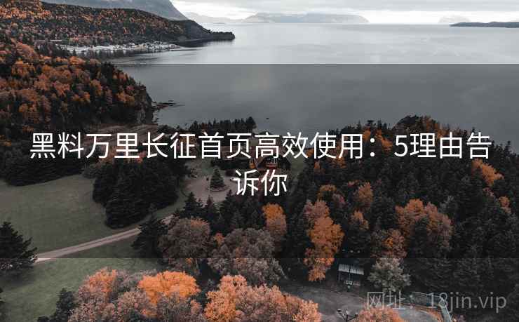 黑料万里长征首页高效使用：5理由告诉你