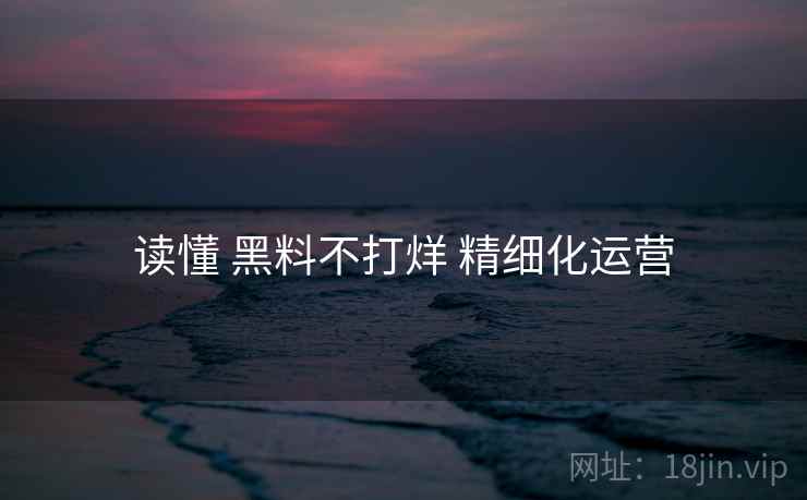 读懂 黑料不打烊 精细化运营