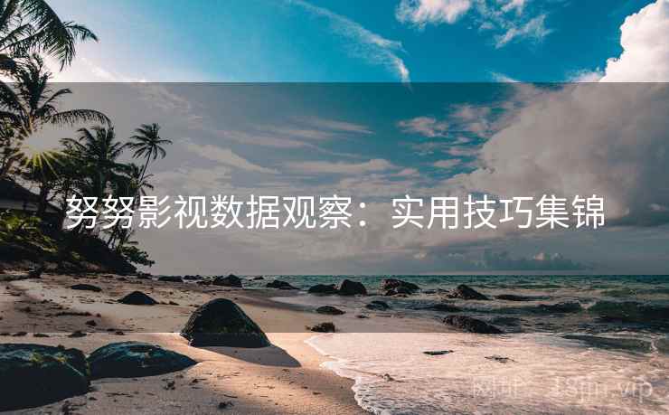 努努影视数据观察：实用技巧集锦