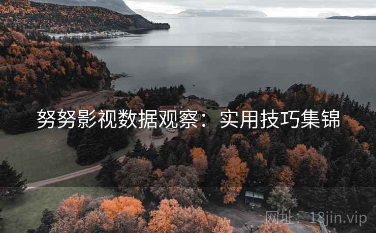 努努影视数据观察：实用技巧集锦