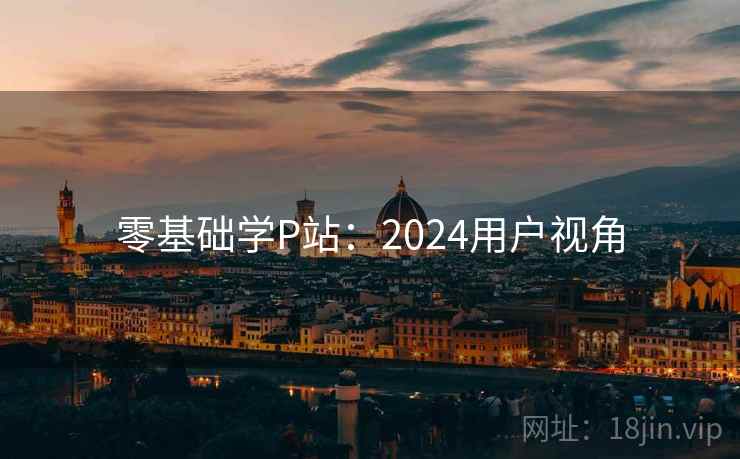 零基础学P站：2024用户视角