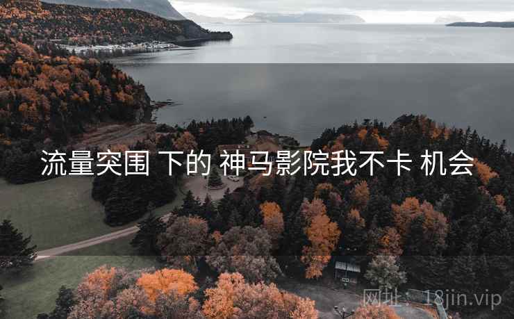 流量突围 下的 神马影院我不卡 机会