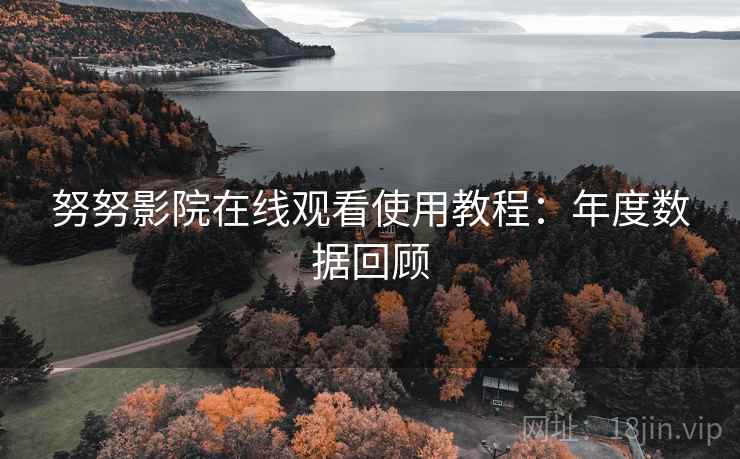 努努影院在线观看使用教程：年度数据回顾