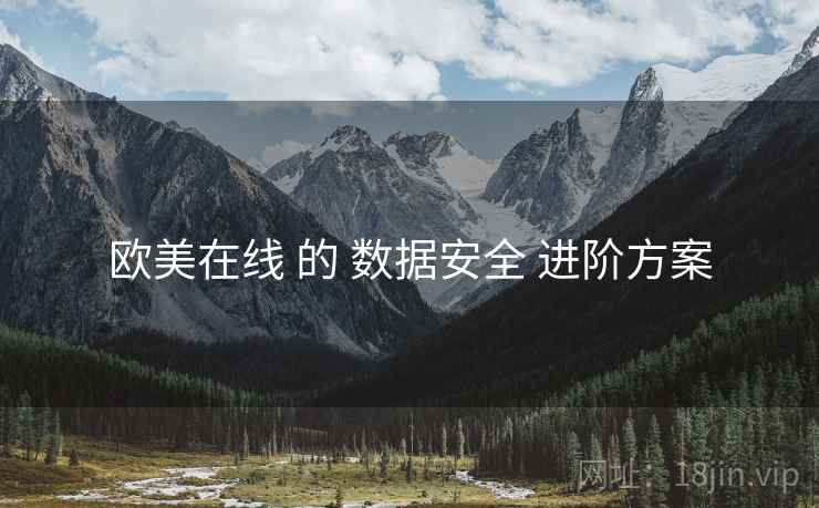 欧美在线 的 数据安全 进阶方案