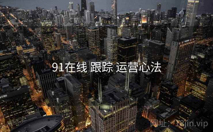 91在线 跟踪 运营心法