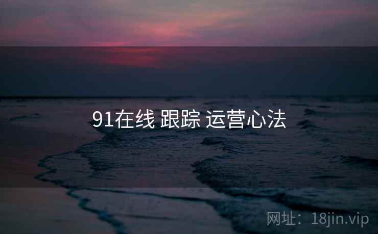 91在线 跟踪 运营心法