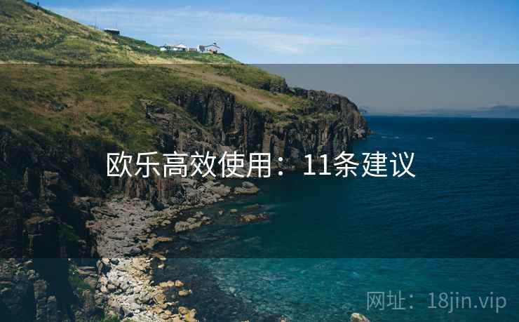 欧乐高效使用：11条建议