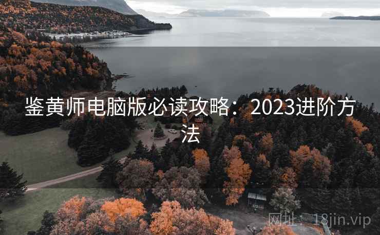 鉴黄师电脑版必读攻略：2023进阶方法