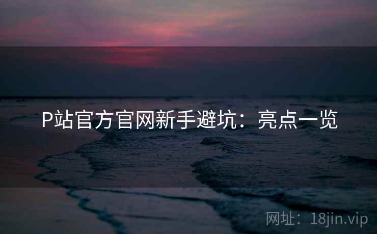 P站官方官网新手避坑：亮点一览