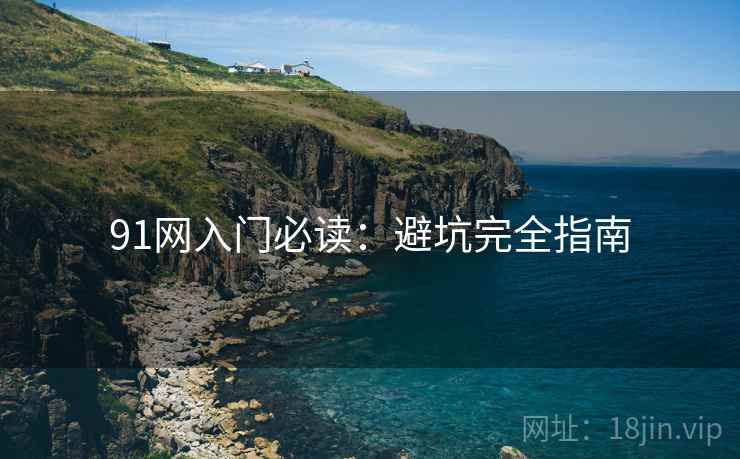 91网入门必读：避坑完全指南
